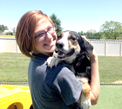 dog groomer in manheim, pa